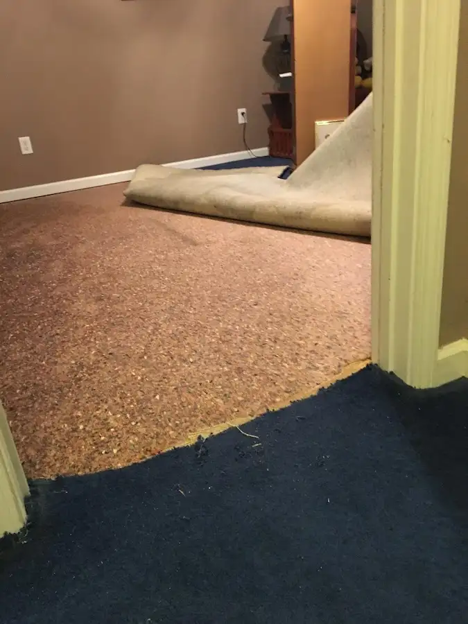 Carpet pad removal revealing water damage during Water Mitigation Services in Fort Lupton