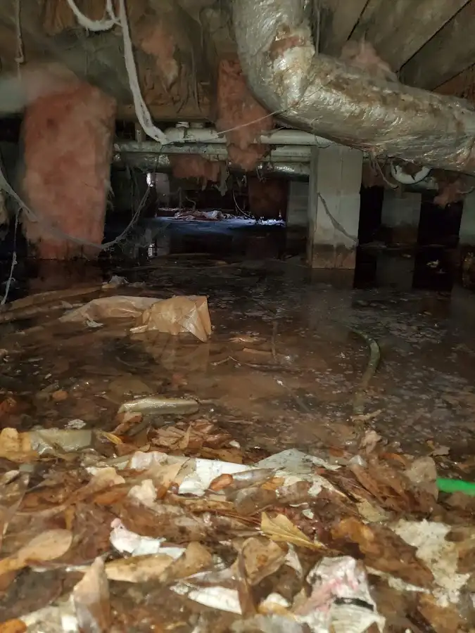 Crawl space flood assessment for Leak Detection & Repair in Fort Lupton