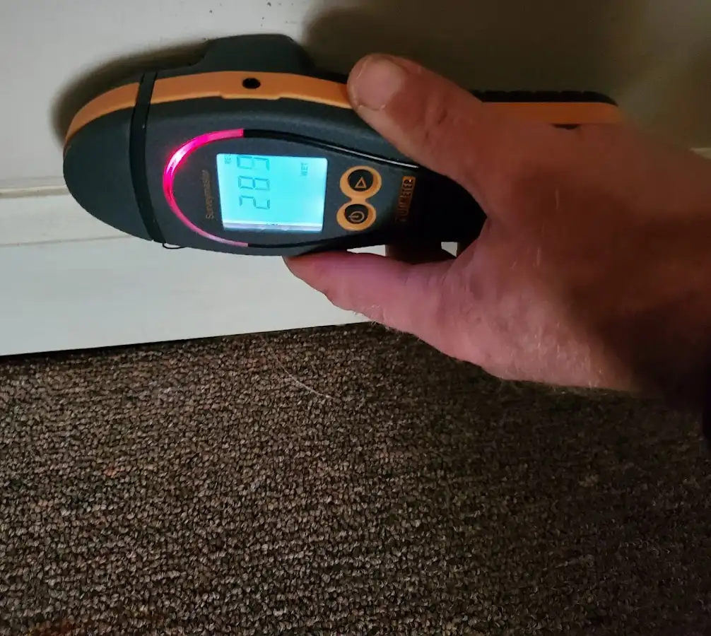 Moisture detection at baseboard during Burst Pipe Cleanup in Fort Lupton